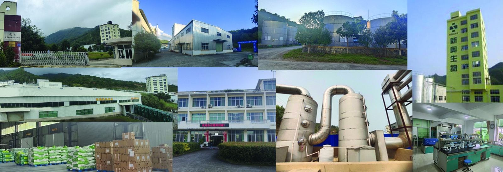 अल्प श्रृंखला वसा अम्ल ब्यूटिरेट