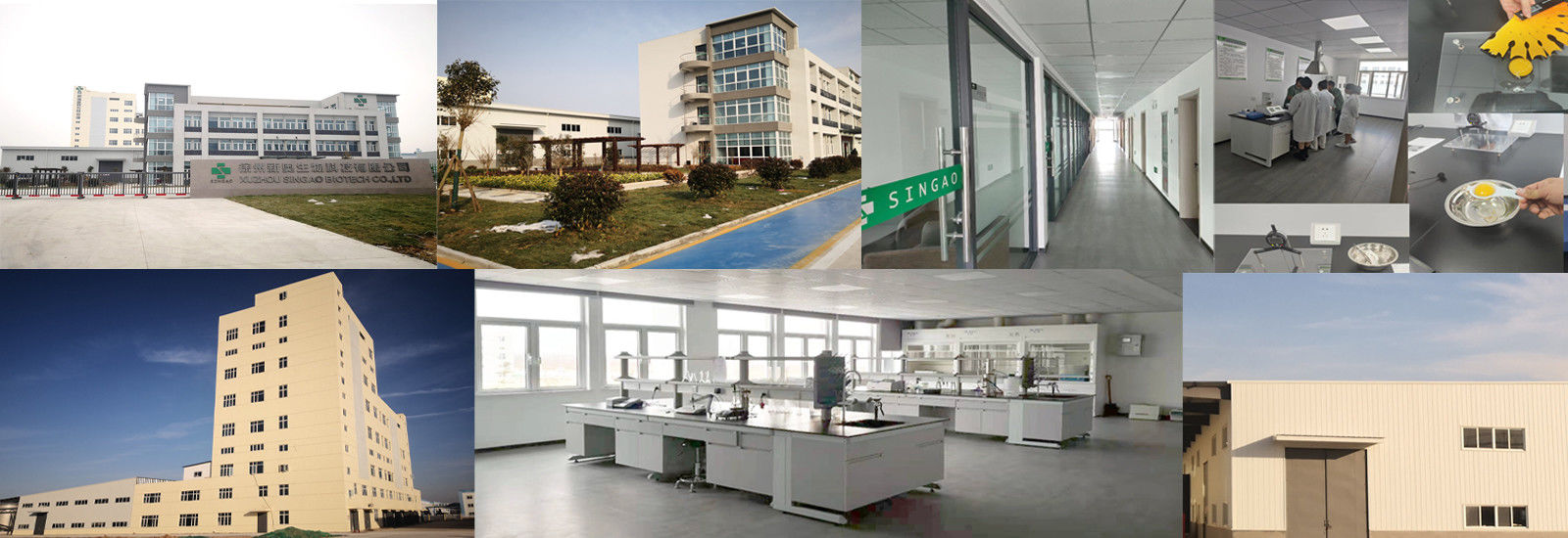 लेपित सोडियम ब्यूटीरेट