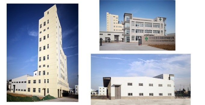 Singao (Xiamen) Agribusiness Development Co., Ltd. कारखाना उत्पादन लाइन