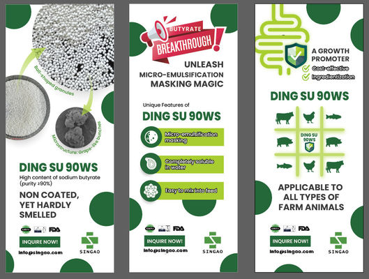 गंधहीन गैर-लेपित सोडियम ब्यूटीरेट 90% पानी के लिए