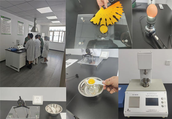 गोलाकार ग्रेन्यूल माइक्रोएन्केप्सुलेटेड सोडियम ब्यूटीरेट 90% पालतू जानवरों के लिए