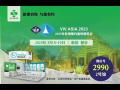 बैंकॉक थाईलैंड में वीआईवी असाई